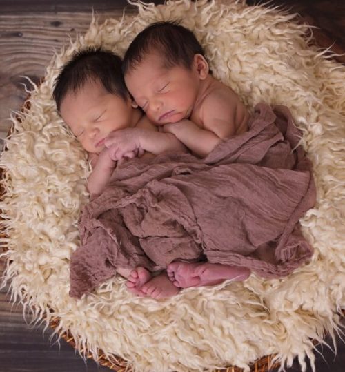 twins, babies, newborn-1628843.jpg